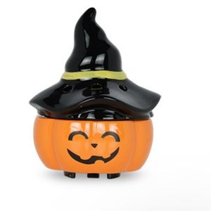 Pink zebra pumpkin witch warmer